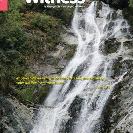 The Witness Winter 2017