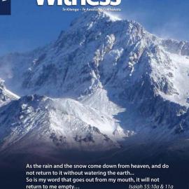 The Witness Winter 2018