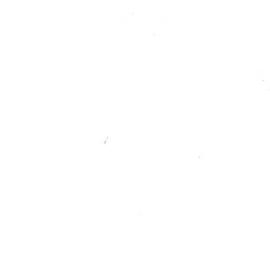 Page & Blackmore Booksellers Bookmark