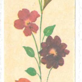 Pressed Flower Bookmark