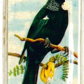 Tui Bookmark