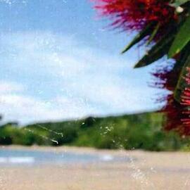 Lutheran Church Gospel Bicentenary Bookmark