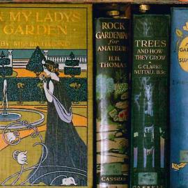 Bodleian Library Bookmark 