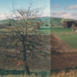Te Aute College. Wide rural view