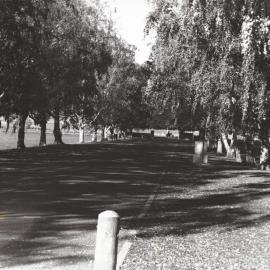 Te Aute College entry to college