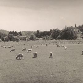 Te Aute College farm