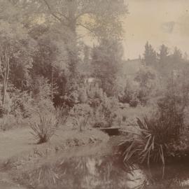 Samuel Williams garden