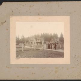 Te Aute College from the gate (33a)