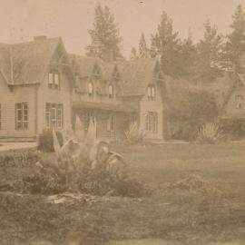 Te Aute College collection of 4 photos (photo 3)