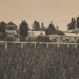 Te Aute College snapshots (63c)