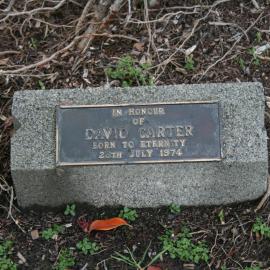 David Carter Grave
