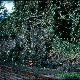 Paihia Mission House