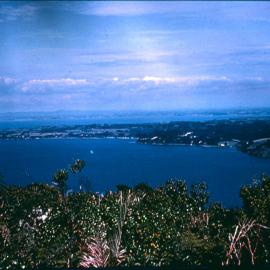 Manukau Harbour