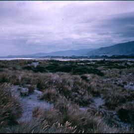 Waikanae Mission Site