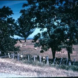 Rangitukia Mission site