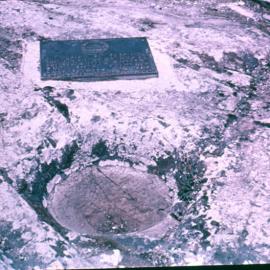 font, Whangawehi Reserve