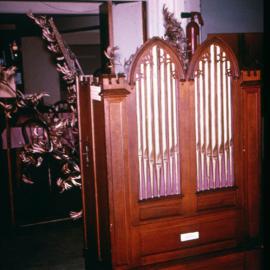 Colenso's organ