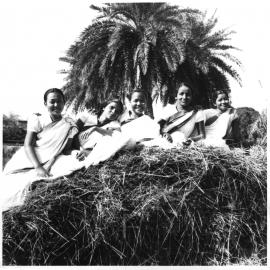 Young Indian women wearing sari