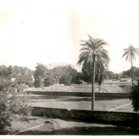 View of trees and buildings. 