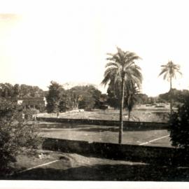 View of trees and buildings. 