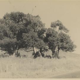 Brian Old  album photos