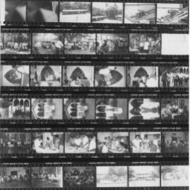 POL-14-5 No Reel Number