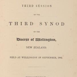 Diocese of Wellington Synod Proceedings 1865