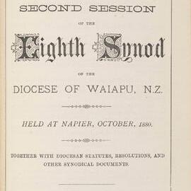 Diocese of Waiapu Synod Proceedings 1880