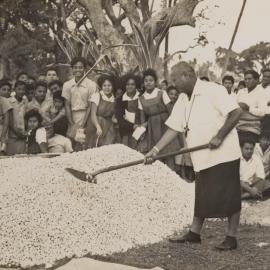 St Andrew's High School Tonga