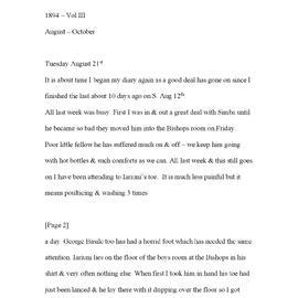 Julia Farr Diary 3 - Aug-Oct 1894
