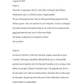 Julia Farr Diary 13 - Aug-Nov 1899