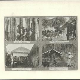 Southern Cross Log: Issue 134, July 1906