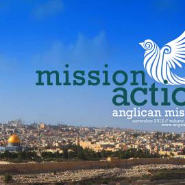 Mission Action November 2012