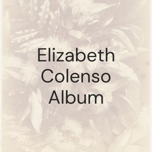 Elizabeth Colenso Album