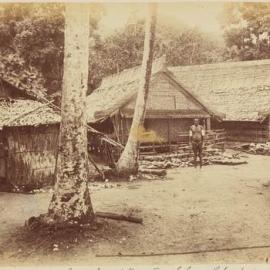 Soga, Chief of Bugotu, Solomon Islands